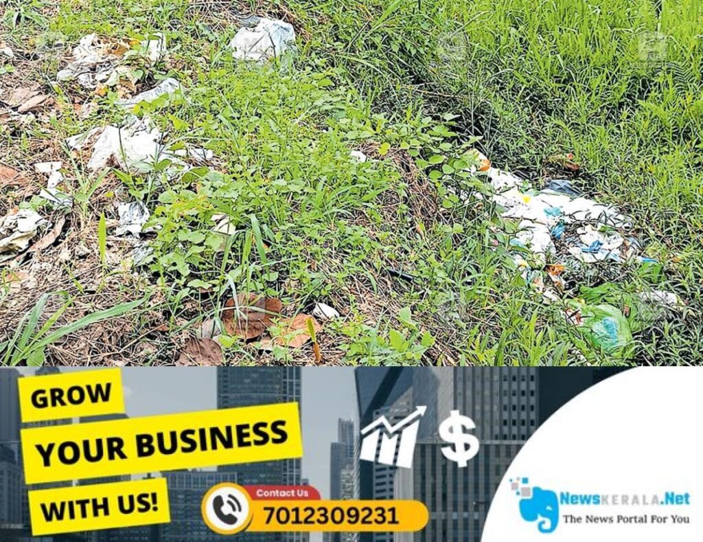 admerged_1752387186_amaloor-waste