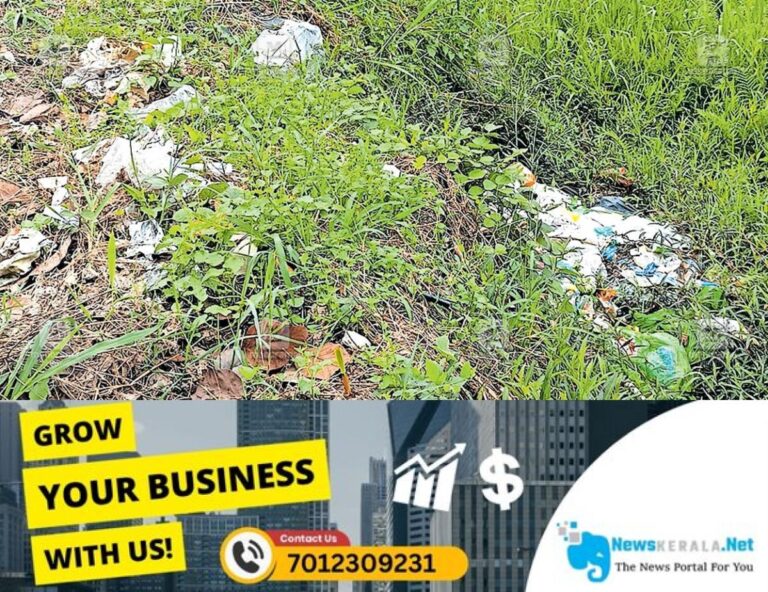 admerged_1752387186_amaloor-waste