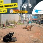 admerged_1752390163_stray-dog-menace-angamaly