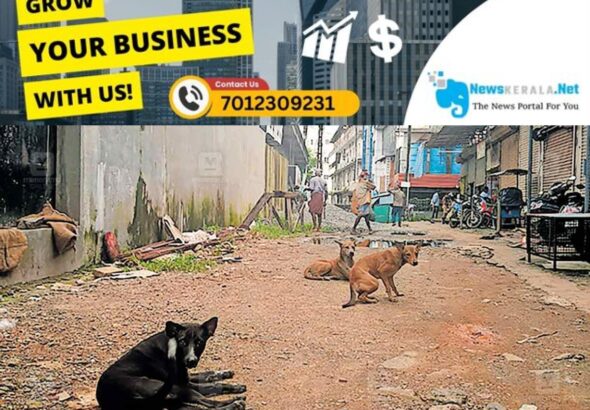 admerged_1752390163_stray-dog-menace-angamaly