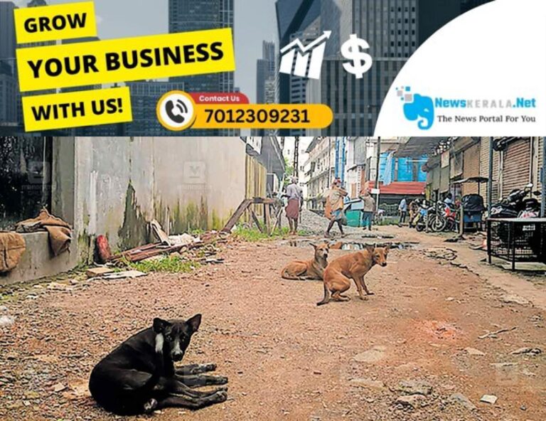 admerged_1752390163_stray-dog-menace-angamaly