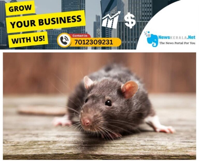 admerged_1752411230_rat-1749370738414_1280x720xt