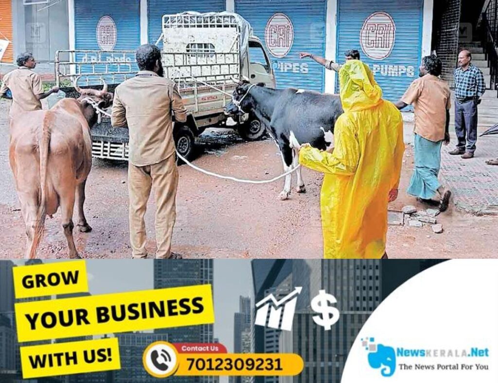 admerged_1752465045_palakkad-cattle-control