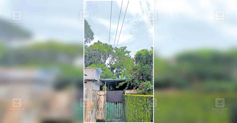 alappuzha-11-kv-line-over-house.jpg