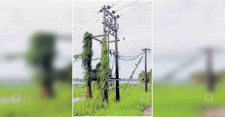 alappuzha-kseb-transformer-hazard-edathua.jpg