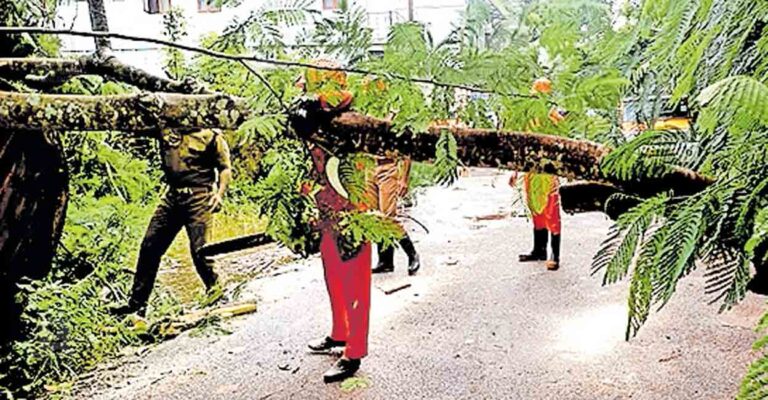 alappuzha-tree-fall-mannar.jpg