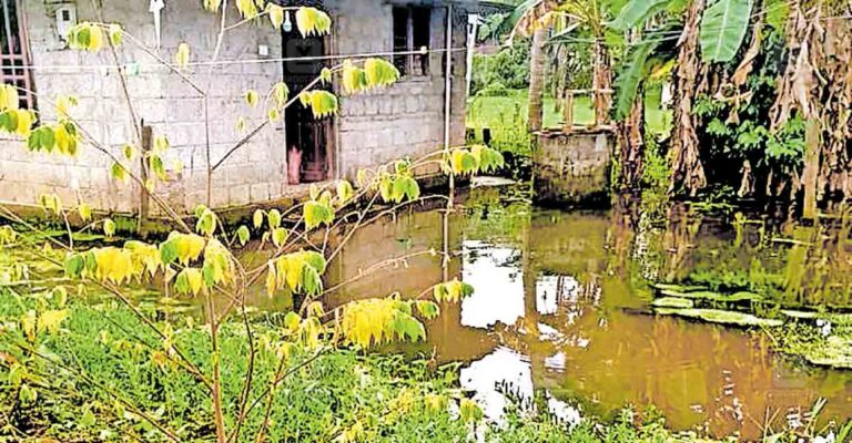 alappuzha-waterlogging-r-bhaskarans-house.jpg
