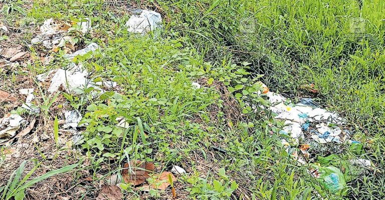 amaloor-waste.jpg