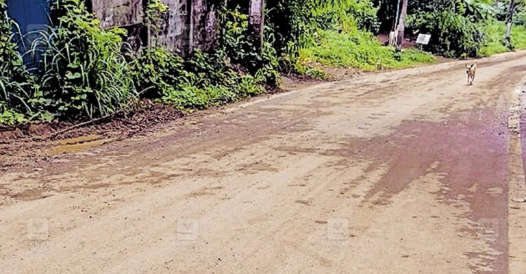appupankav-road.jpg