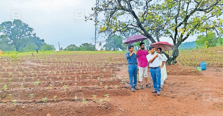 aralam-farm-flower-garden.jpg