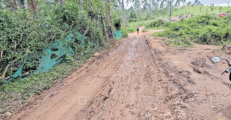 chinnakanal-colany-road.jpg