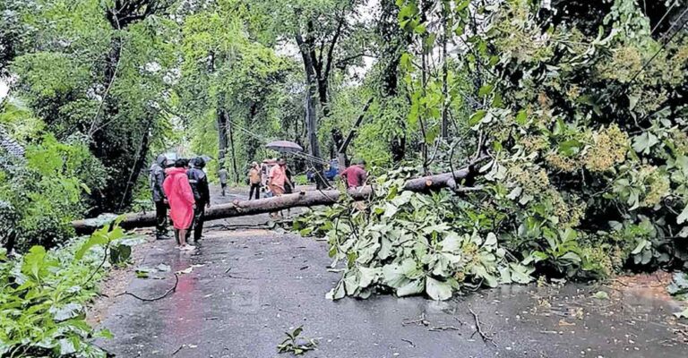 chittadiyil-rain-damage.jpg