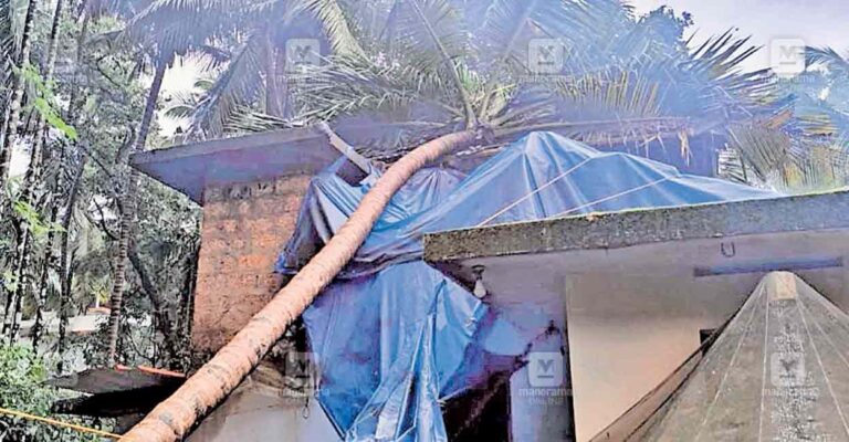 chittaripparambu-rain-wind1.jpg