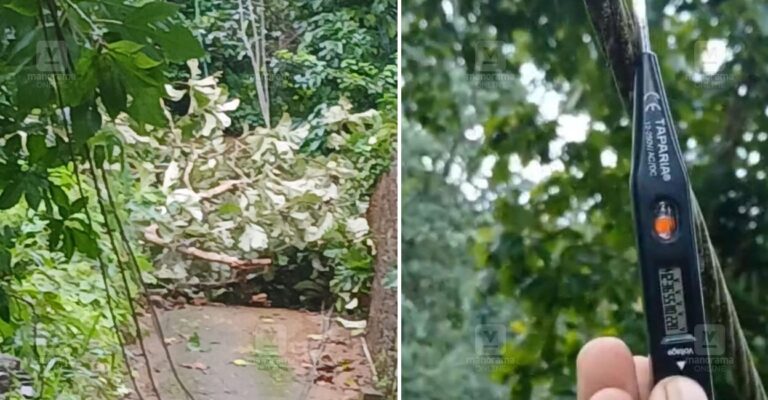 delayed-response-kseb-residents-concerned.jpg