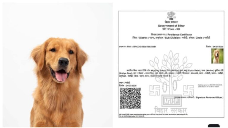 dog-babu-gets-residence-certificate-in-bihar-1753691230132_1280x720xt.jpg