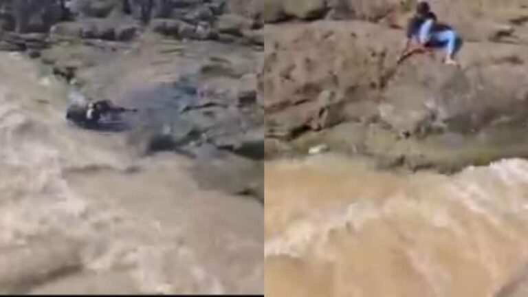 drowned-1753085333980_1280x720xt.jpg