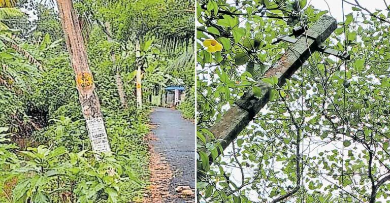 electric-pole-accident-risk-1.jpg