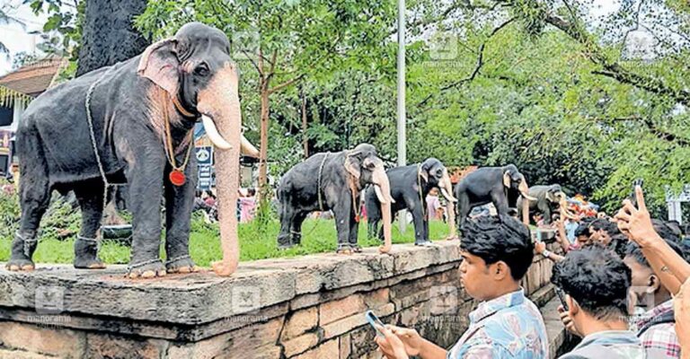 elephant-statue.jpg