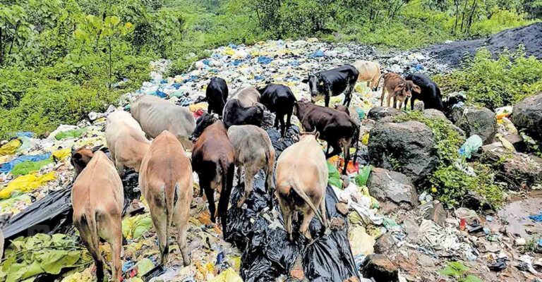 ernakulam-waste-dumping-malayattoor.jpg