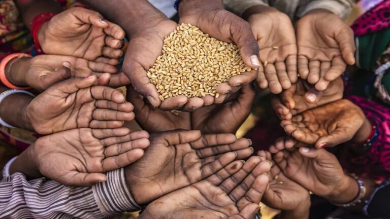 food-grains-istock-v-jpg-1280x720-4g-1752141356248_1280x720xt.jpg