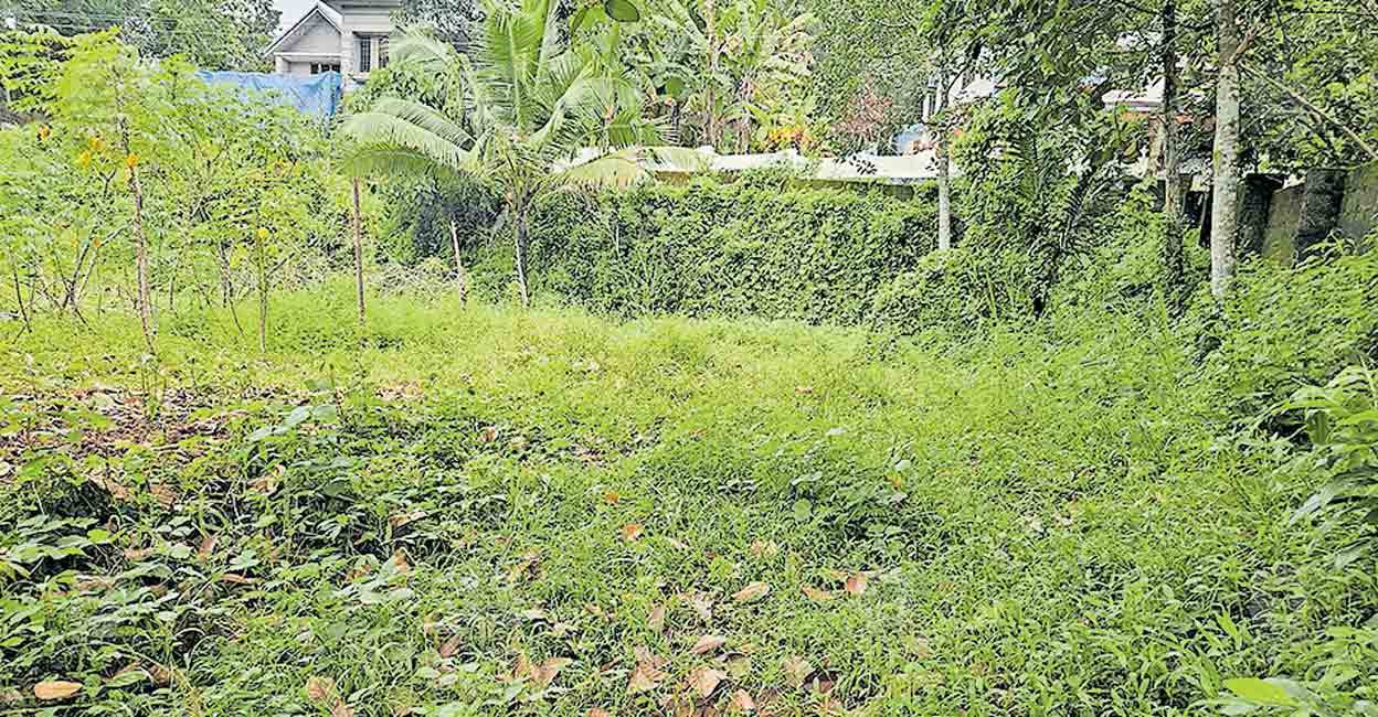free-land-offer-health-center.jpg