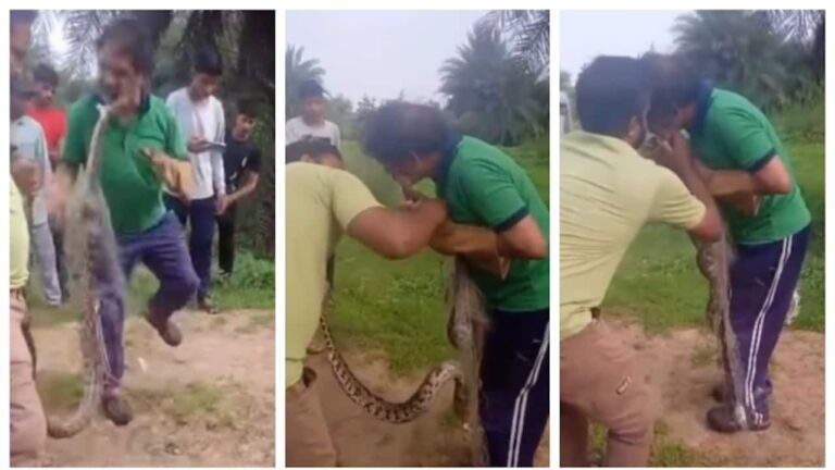 giant-python-bites-man-s-cheek-1753635469445_1280x720xt.jpg