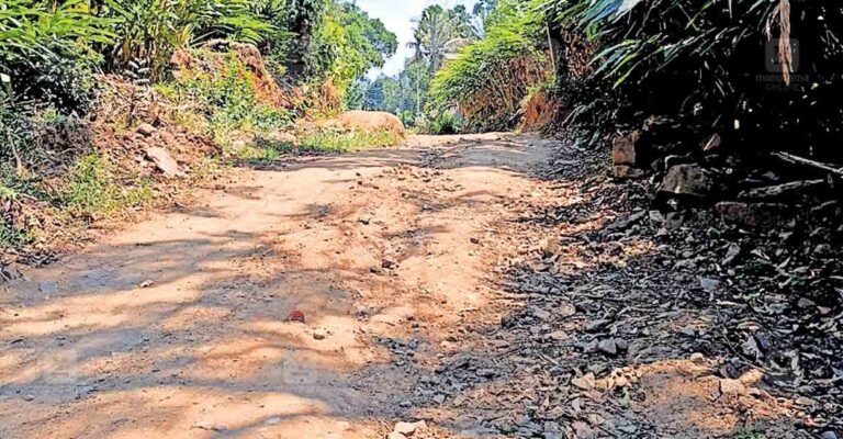 idukki-cheriyar-pallikunnu-road.jpg