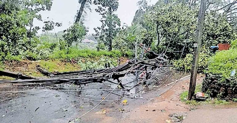idukki-electric-post-fell-kumbamkallu-edavetty-road.jpg