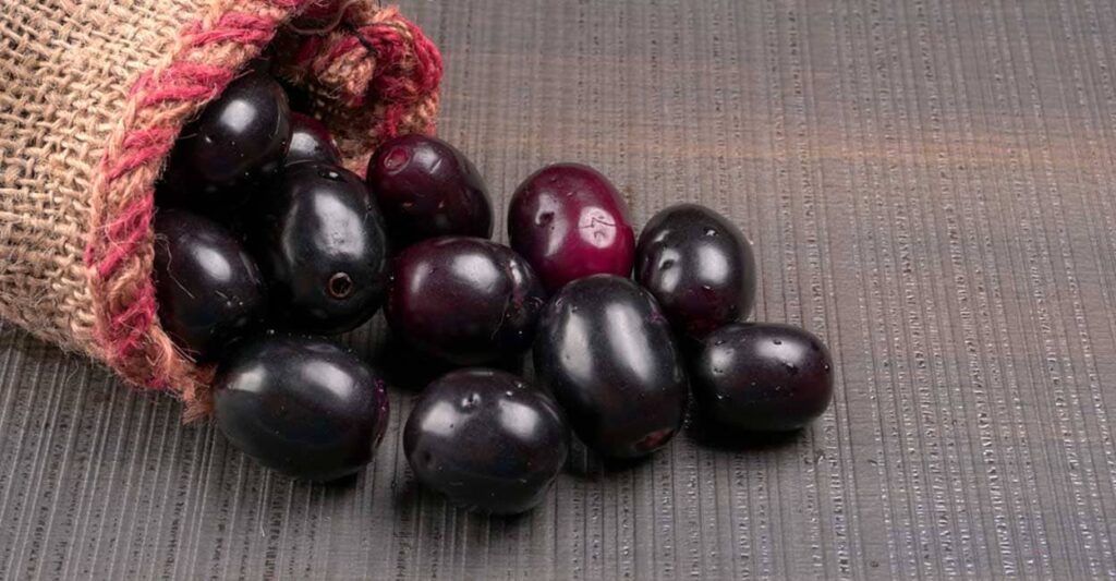 java-plums.jpg