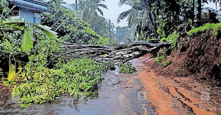 kadavathur-road-tree-fall.jpg