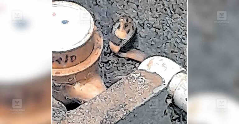 kakkanad-snake-.jpg