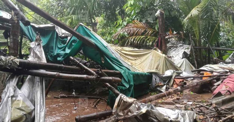 kanamvayal-tree-fall-house-damaged.jpg