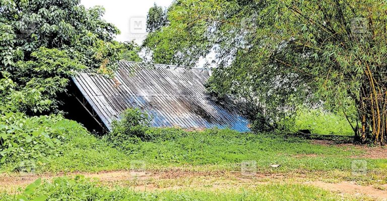 kanjirapally-petta-school.jpg