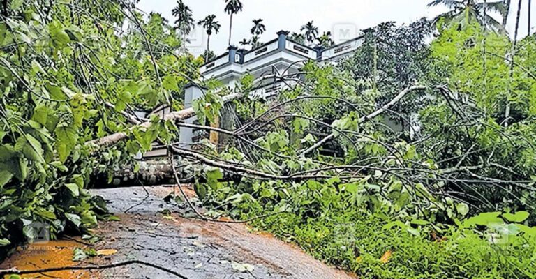 kannikalm-rain-damage-1.jpg