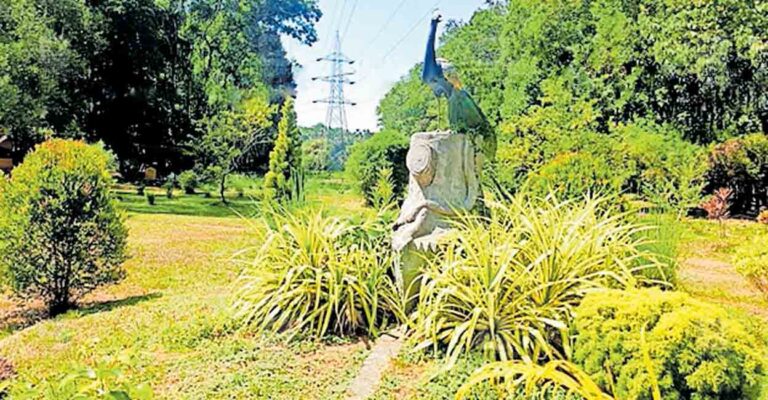 kannur-iritty-ico-park.jpg