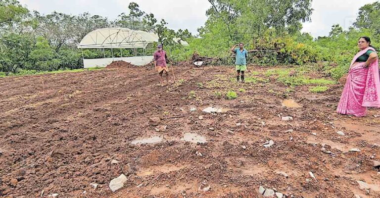 kannur-kanayi-plot.jpg