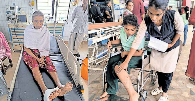 kannur-karivalloor-fox-attack.jpg
