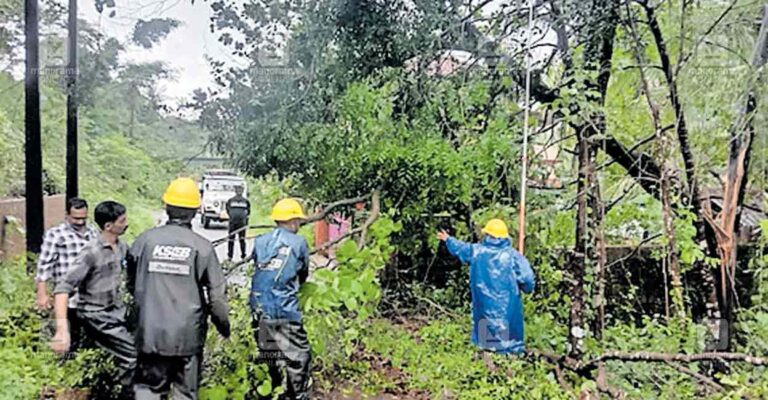 karivellur-tree-cutting.jpg