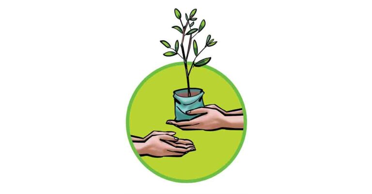 kasargod-plant.jpg