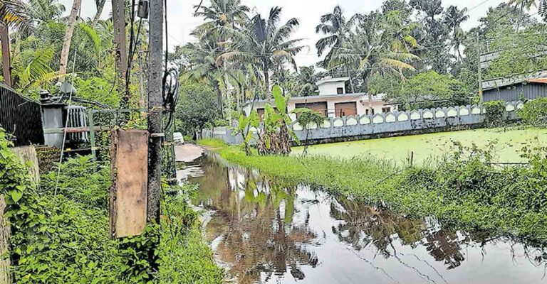 kollam-madathil-pond-overflowing.jpg