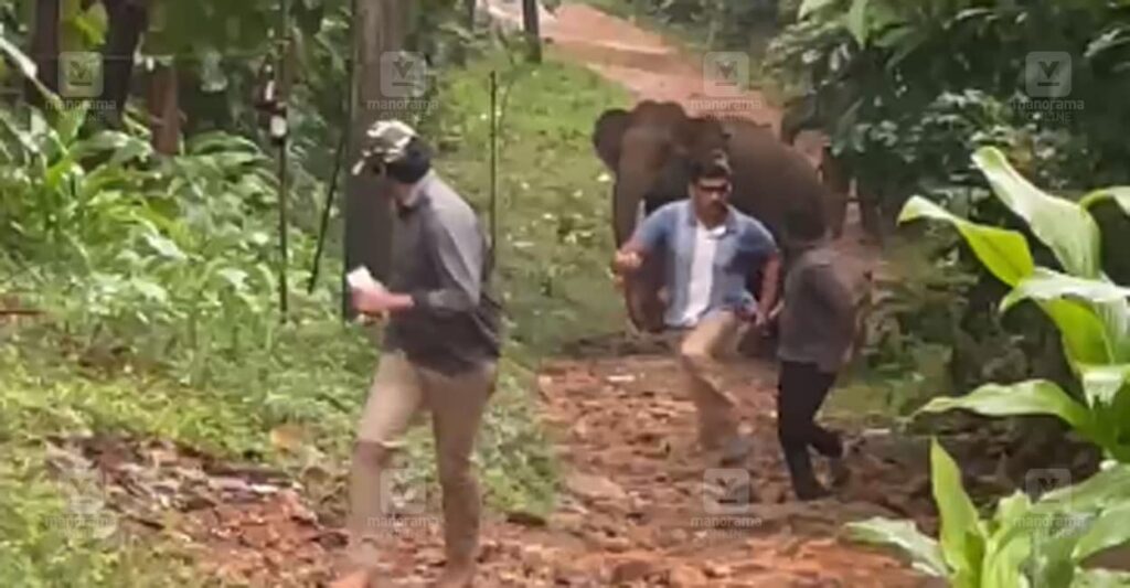 kothamangalam-elephant-attack-1.jpg