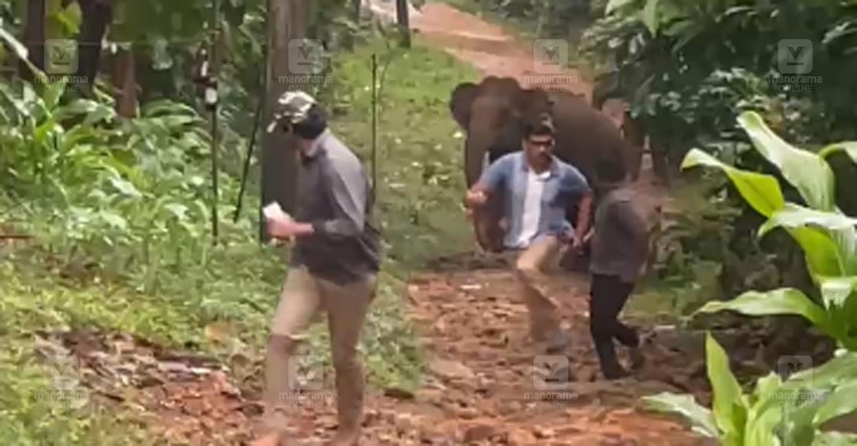 kothamangalam-elephant-attack-1.jpg