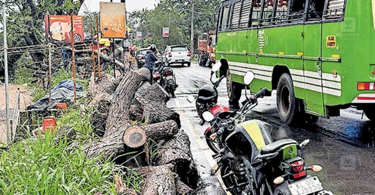kottayam-illegal-parking.jpg