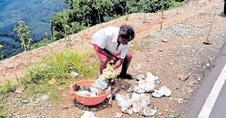 kottayam-koottikkal-view-point-waste.jpg