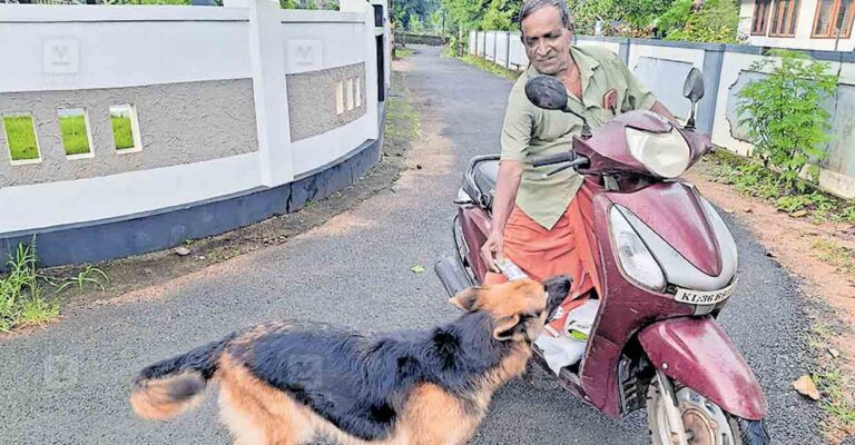 kottayam-pet-dog-judy.jpg