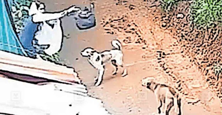 kozhikode-dog-attacked-student.jpg