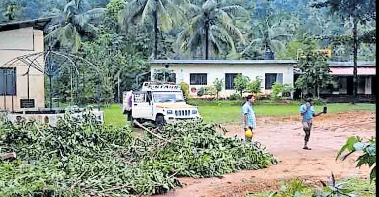 kozhikode-kseb-authorities-are-replacing-the-power-line-with-a-cable.jpg