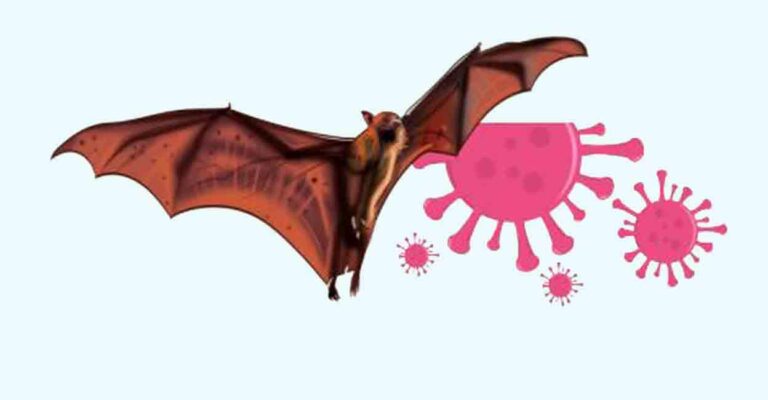 kozhikode-nipah-virus-restrictions-.jpg