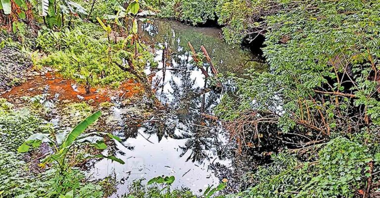 kozhikode-quory.jpg