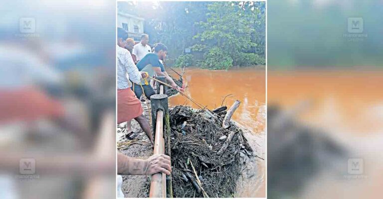 kozhikode-removing-tree-branches-and-other-debris-puliyavu-bridge.jpg